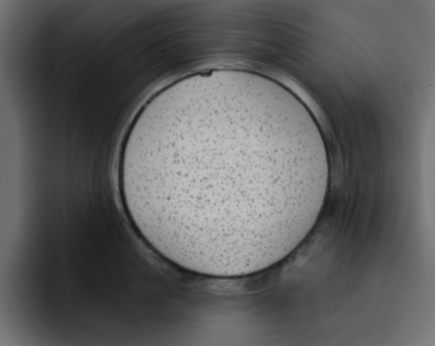 X0000092010861200710041024