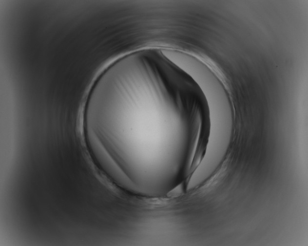 X0000092010862200710041024