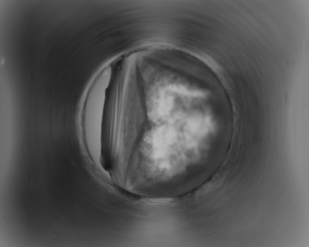 X0000092010864200710041024