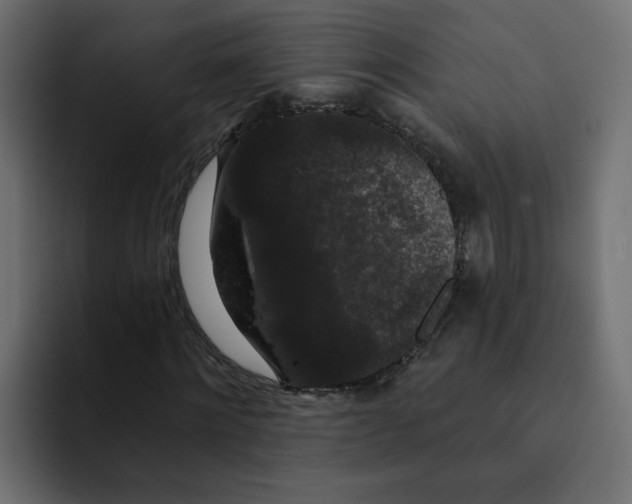X0000092010868200710041024