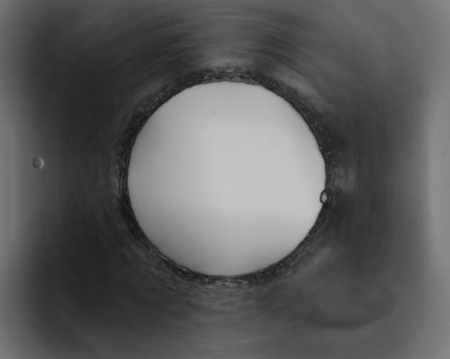 X0000092010869200710041024