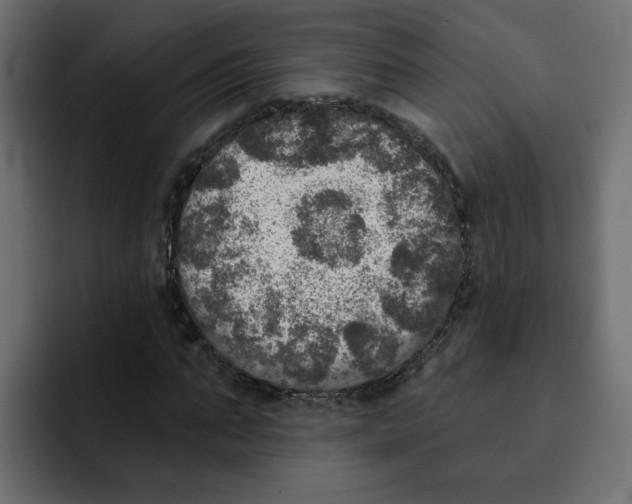 X0000092010871200710041024