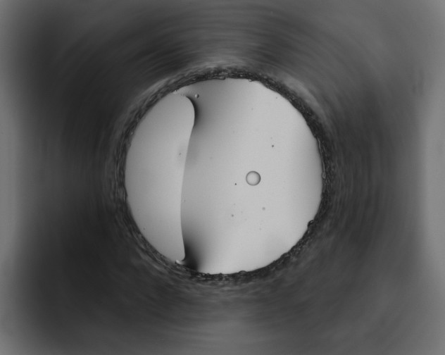 X0000092010872200710041024