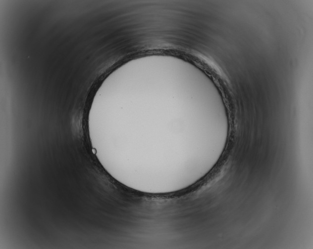 X0000092010873200710041024