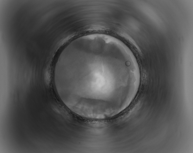 X0000092010874200710041024