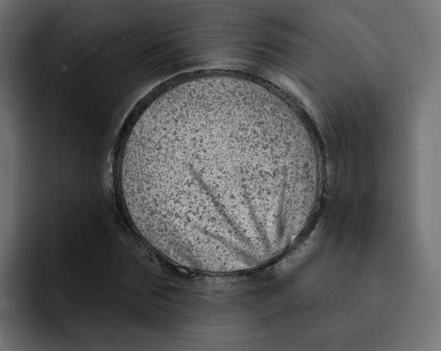 X0000092010875200710041024