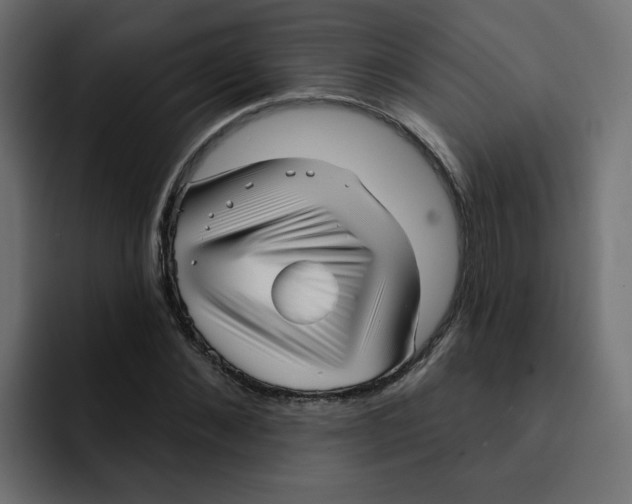 X0000092010876200710041024