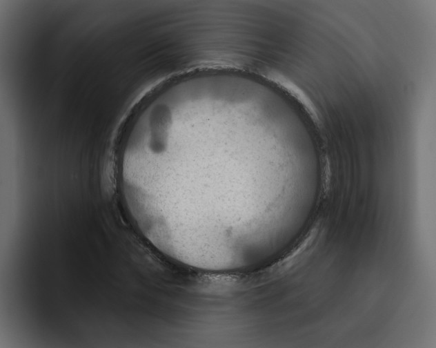 X0000092010878200710041024