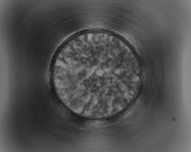X0000092010879200710041024