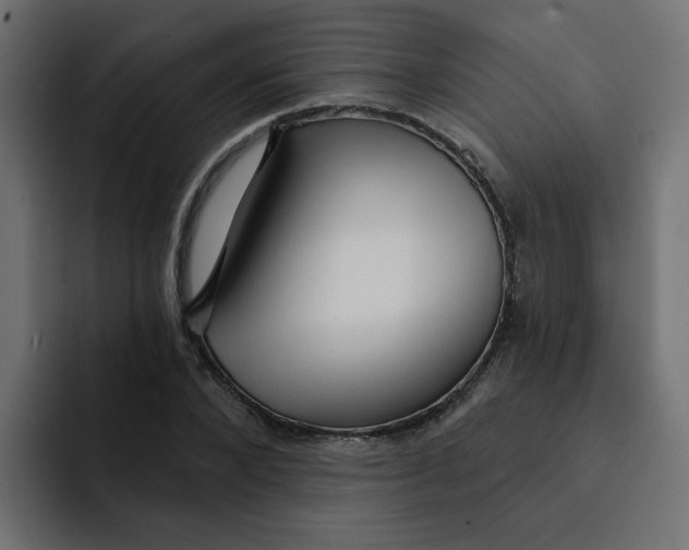 X0000092010880200710041024