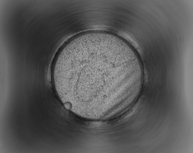 X0000092010883200710041024
