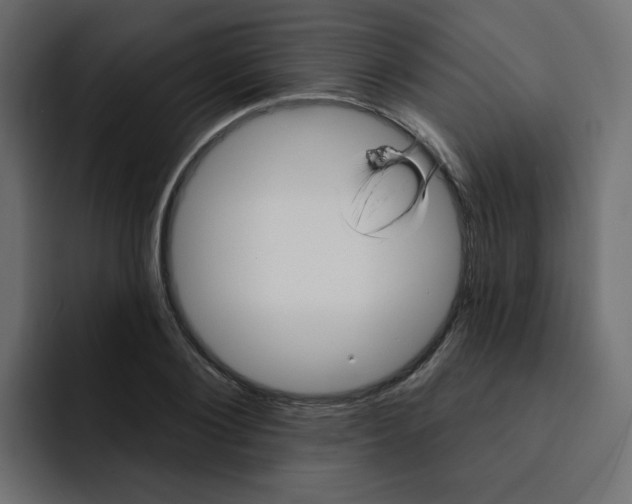 X0000092010884200710041024
