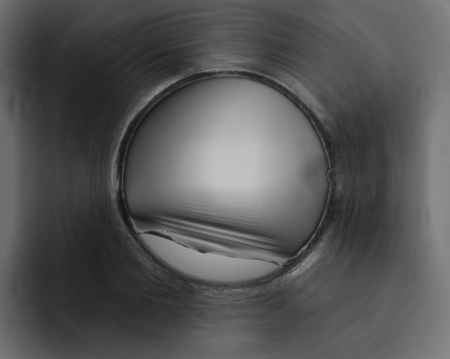 X0000092010885200710041024