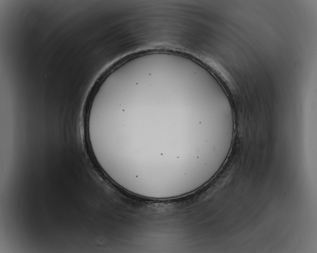 X0000092010888200710041023