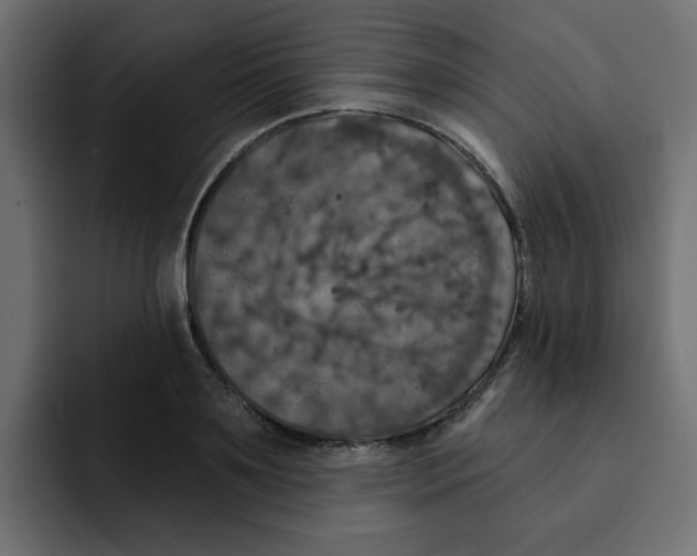 X0000092010891200710041023