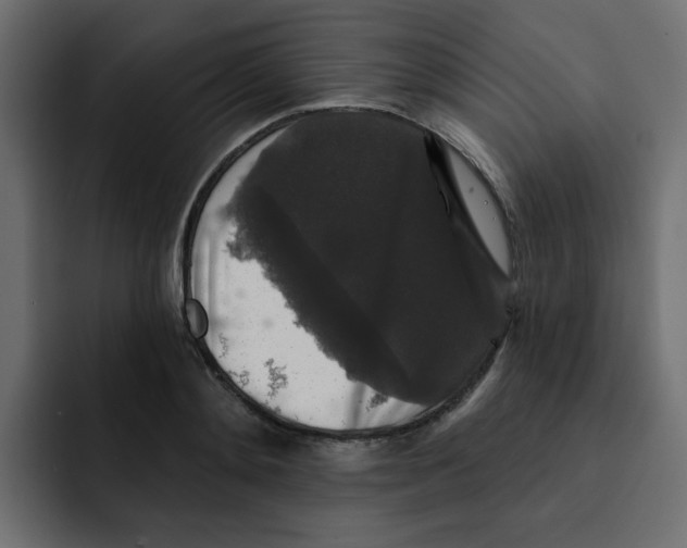 X0000092010892200710041023