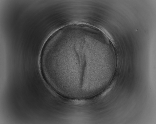 X0000092010893200710041023