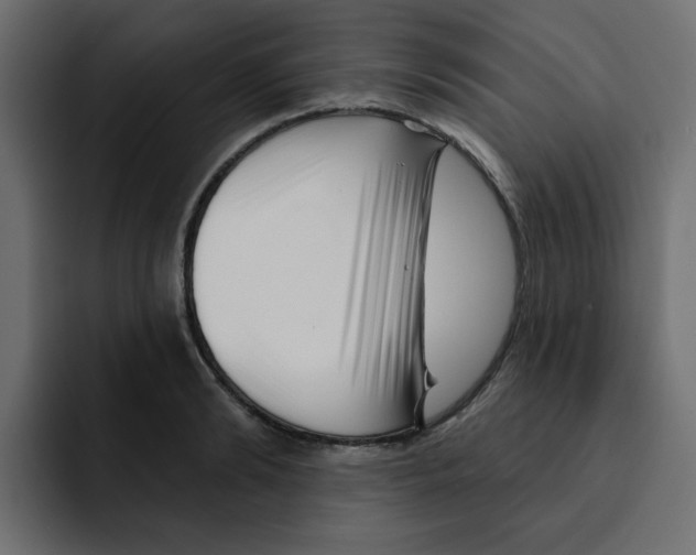 X0000092010894200710041023