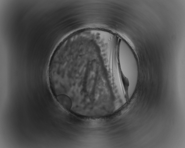 X0000092010895200710041023