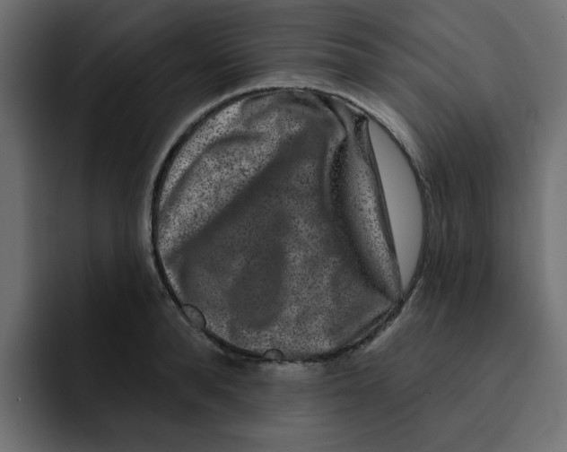 X0000092010896200710041023