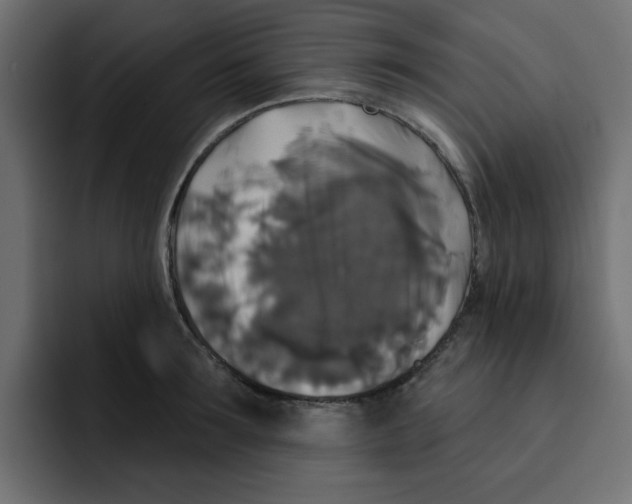 X0000092010899200710041023