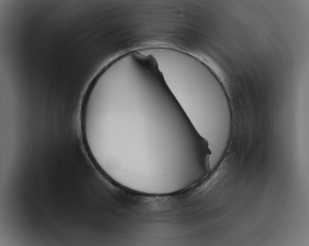 X0000092010902200710041023