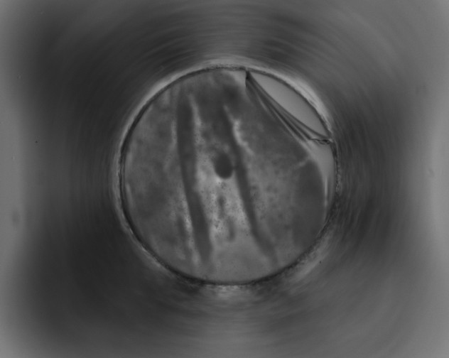 X0000092010903200710041023