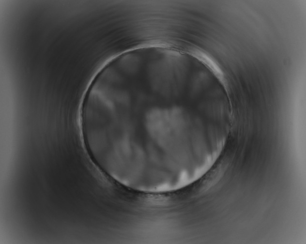 X0000092010907200710041023