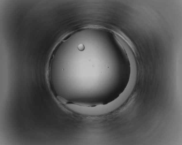 X0000092010909200710041023