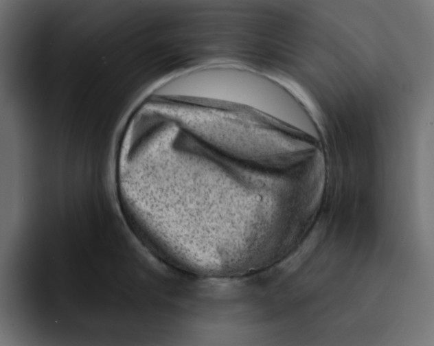 X0000092010910200710041023