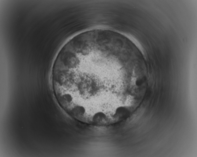 X0000092010911200710041023