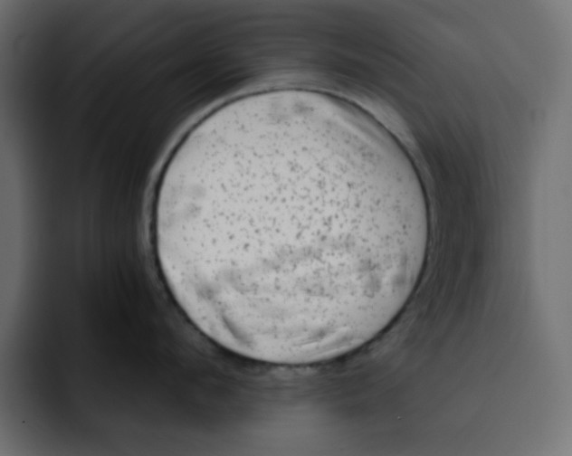 X0000092010912200710041023