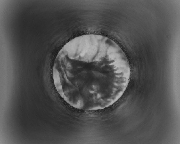X0000092010913200710041023