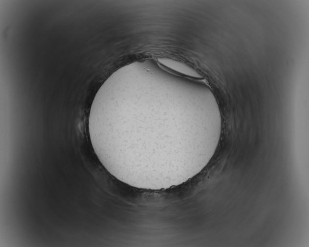 X0000092010914200710041023