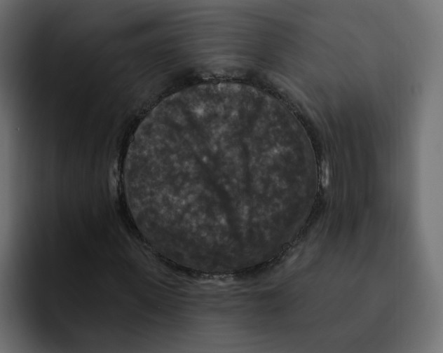 X0000092010915200710041023
