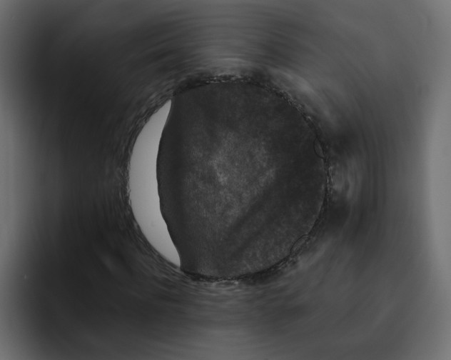 X0000092010916200710041023