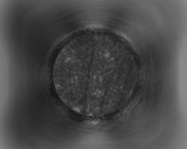 X0000092010919200710041023