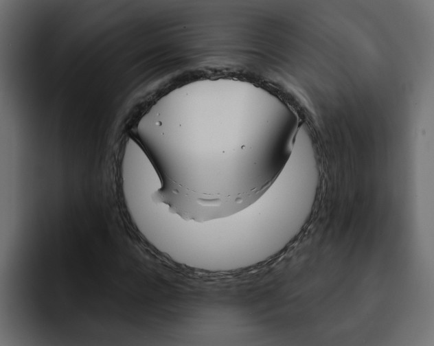 X0000092010920200710041023