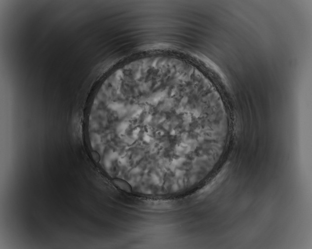 X0000092010921200710041023
