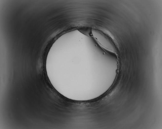 X0000092010922200710041023