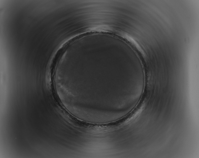 X0000092010923200710041023