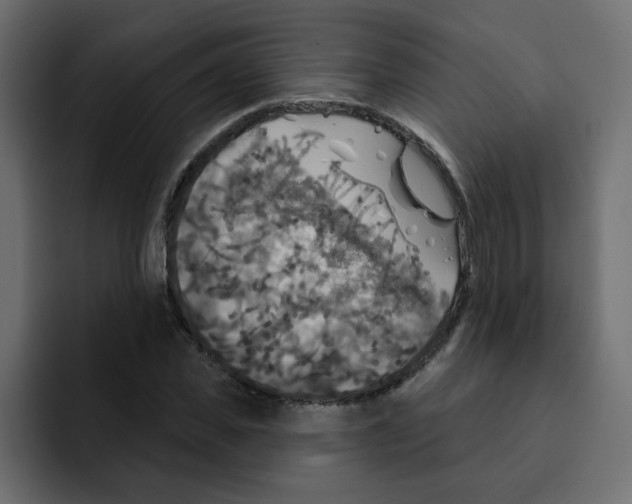 X0000092010925200710041023