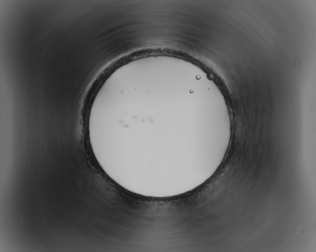 X0000092010927200710041023