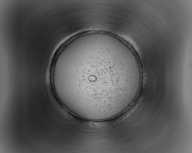 X0000092010928200710041023