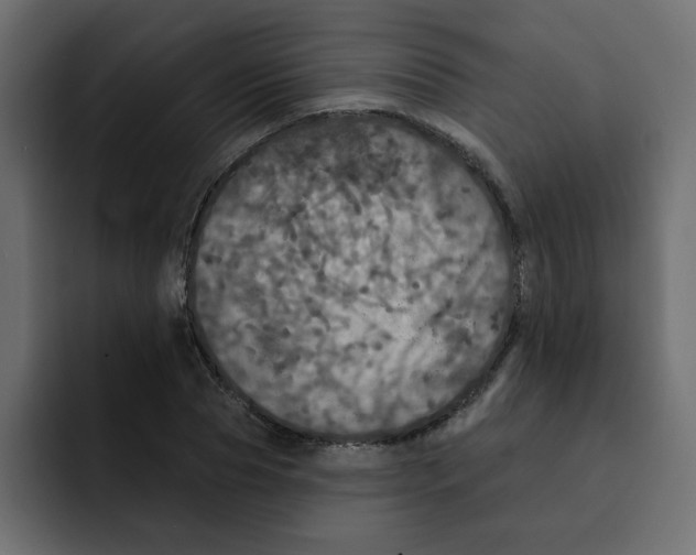 X0000092010929200710041023