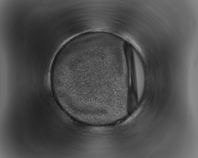 X0000092010932200710041023