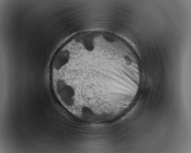 X0000092010933200710041023