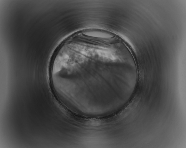 X0000092010935200710041023
