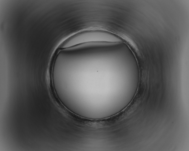 X0000092010936200710041023