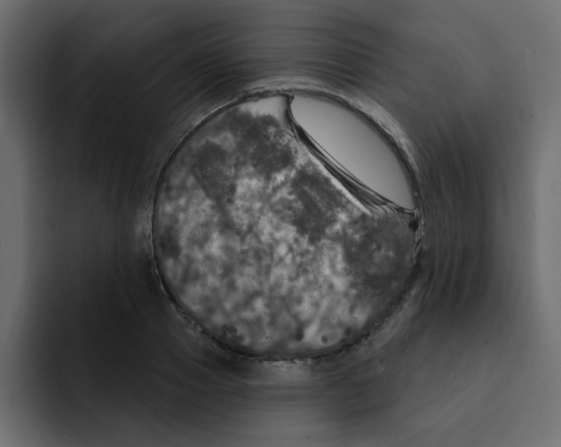 X0000092010937200710041023